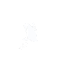 Setemar-Logo-retro-UFF-1